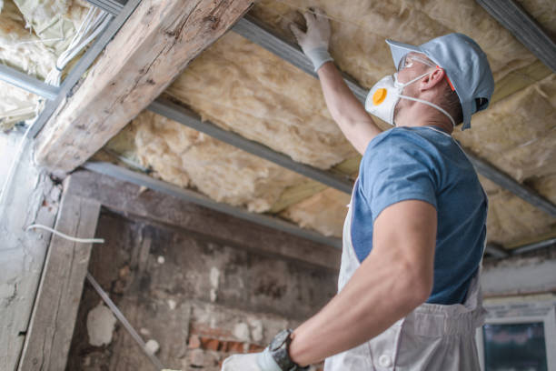Best Insulation Removal  in Sparrow Bush, NY