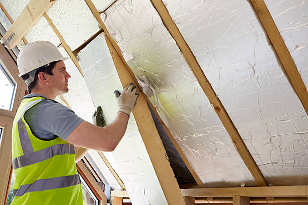 Best Insulation Removal  in Sparrow Bush, NY